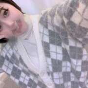 ヒメ日記 2025/06/27 09:30 投稿 ひまわり エマーブル