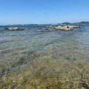 ヒメ日記 2025/08/23 11:16 投稿 ひまわり エマーブル