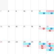 ひまわり クリスマスに舞い降りる大和撫子 エマーブル