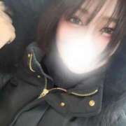 ヒメ日記 2026/03/04 09:21 投稿 ひまわり エマーブル