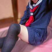 ヒメ日記 2026/04/17 11:57 投稿 ひまわり エマーブル