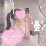 ヒメ日記 2025/04/04 15:46 投稿 オトハ エピソード(品川)