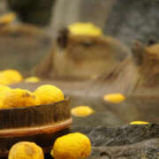 ヒメ日記 2024/12/20 10:44 投稿 堀井 極上でエッチな人妻