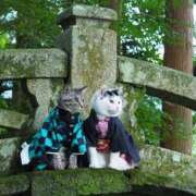 ヒメ日記 2025/02/01 10:40 投稿 堀井 極上でエッチな人妻