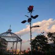 ヒメ日記 2025/05/02 10:40 投稿 堀井 極上でエッチな人妻