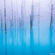 ヒメ日記 2025/08/06 12:00 投稿 堀井 極上でエッチな人妻