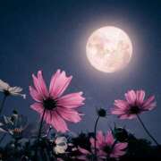 ヒメ日記 2025/10/05 10:38 投稿 堀井 極上でエッチな人妻