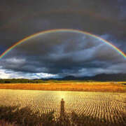 ヒメ日記 2025/10/10 13:02 投稿 堀井 極上でエッチな人妻