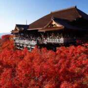 堀井 今年の漢字 極上でエッチな人妻