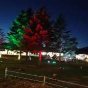 ヒメ日記 2025/12/24 11:46 投稿 堀井 極上でエッチな人妻