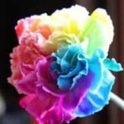 ヒメ日記 2026/01/18 10:48 投稿 堀井 極上でエッチな人妻