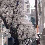 ヒメ日記 2026/03/25 11:02 投稿 堀井 極上でエッチな人妻