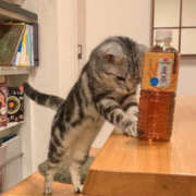 ヒメ日記 2026/04/24 15:36 投稿 堀井 極上でエッチな人妻