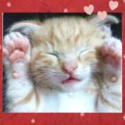 ヒメ日記 2025/02/09 11:00 投稿 小森 極上でエッチな人妻