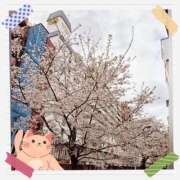 ヒメ日記 2025/04/06 10:42 投稿 小森 極上でエッチな人妻