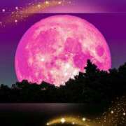 ヒメ日記 2025/04/15 11:04 投稿 小森 極上でエッチな人妻