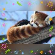 ヒメ日記 2025/04/22 12:18 投稿 小森 極上でエッチな人妻