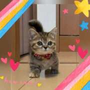 ヒメ日記 2025/05/14 11:06 投稿 小森 極上でエッチな人妻