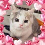 ヒメ日記 2025/05/31 11:08 投稿 小森 極上でエッチな人妻