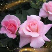 ヒメ日記 2025/06/05 12:34 投稿 小森 極上でエッチな人妻