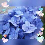 ヒメ日記 2025/06/10 11:14 投稿 小森 極上でエッチな人妻