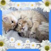 ヒメ日記 2025/06/13 11:32 投稿 小森 極上でエッチな人妻