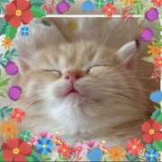 ヒメ日記 2025/06/30 11:32 投稿 小森 極上でエッチな人妻