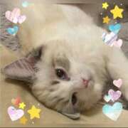 ヒメ日記 2025/09/03 12:16 投稿 小森 極上でエッチな人妻