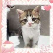 ヒメ日記 2025/10/01 11:26 投稿 小森 極上でエッチな人妻