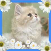 ヒメ日記 2025/10/08 11:32 投稿 小森 極上でエッチな人妻