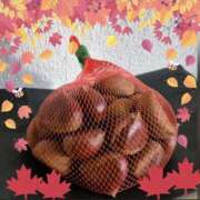 ヒメ日記 2025/10/24 11:16 投稿 小森 極上でエッチな人妻