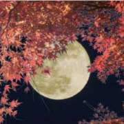 ヒメ日記 2025/11/05 11:20 投稿 小森 極上でエッチな人妻