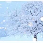 ヒメ日記 2026/02/08 14:08 投稿 小森 極上でエッチな人妻