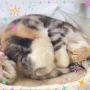 ヒメ日記 2026/03/09 11:28 投稿 小森 極上でエッチな人妻