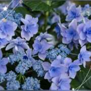 ヒメ日記 2026/07/09 11:00 投稿 小森 極上でエッチな人妻