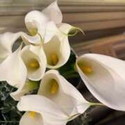 ヒメ日記 2024/12/10 15:38 投稿 奥山 極上でエッチな人妻