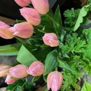 ヒメ日記 2024/12/26 12:18 投稿 奥山 極上でエッチな人妻