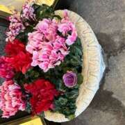 ヒメ日記 2025/01/18 12:12 投稿 奥山 極上でエッチな人妻