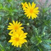 ヒメ日記 2025/01/22 12:16 投稿 奥山 極上でエッチな人妻