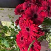 ヒメ日記 2025/01/27 14:22 投稿 奥山 極上でエッチな人妻