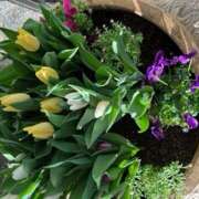 ヒメ日記 2025/01/31 15:06 投稿 奥山 極上でエッチな人妻