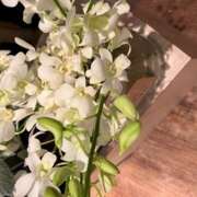 ヒメ日記 2025/02/03 17:18 投稿 奥山 極上でエッチな人妻