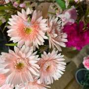 ヒメ日記 2025/02/16 12:50 投稿 奥山 極上でエッチな人妻