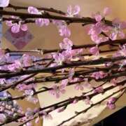 ヒメ日記 2025/03/03 15:36 投稿 奥山 極上でエッチな人妻