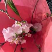 ヒメ日記 2025/03/21 14:10 投稿 奥山 極上でエッチな人妻