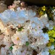 ヒメ日記 2025/03/29 10:22 投稿 奥山 極上でエッチな人妻