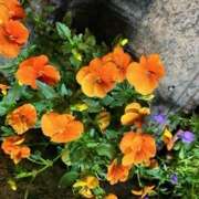 ヒメ日記 2025/03/30 15:20 投稿 奥山 極上でエッチな人妻