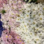 ヒメ日記 2025/03/31 14:22 投稿 奥山 極上でエッチな人妻