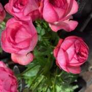 ヒメ日記 2025/04/02 12:28 投稿 奥山 極上でエッチな人妻