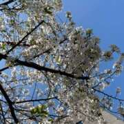 ヒメ日記 2025/04/06 13:44 投稿 奥山 極上でエッチな人妻